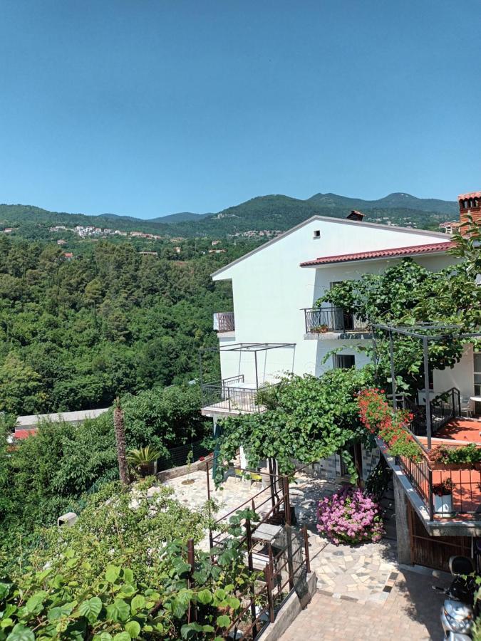 Apartments Branka 伊卡 外观 照片